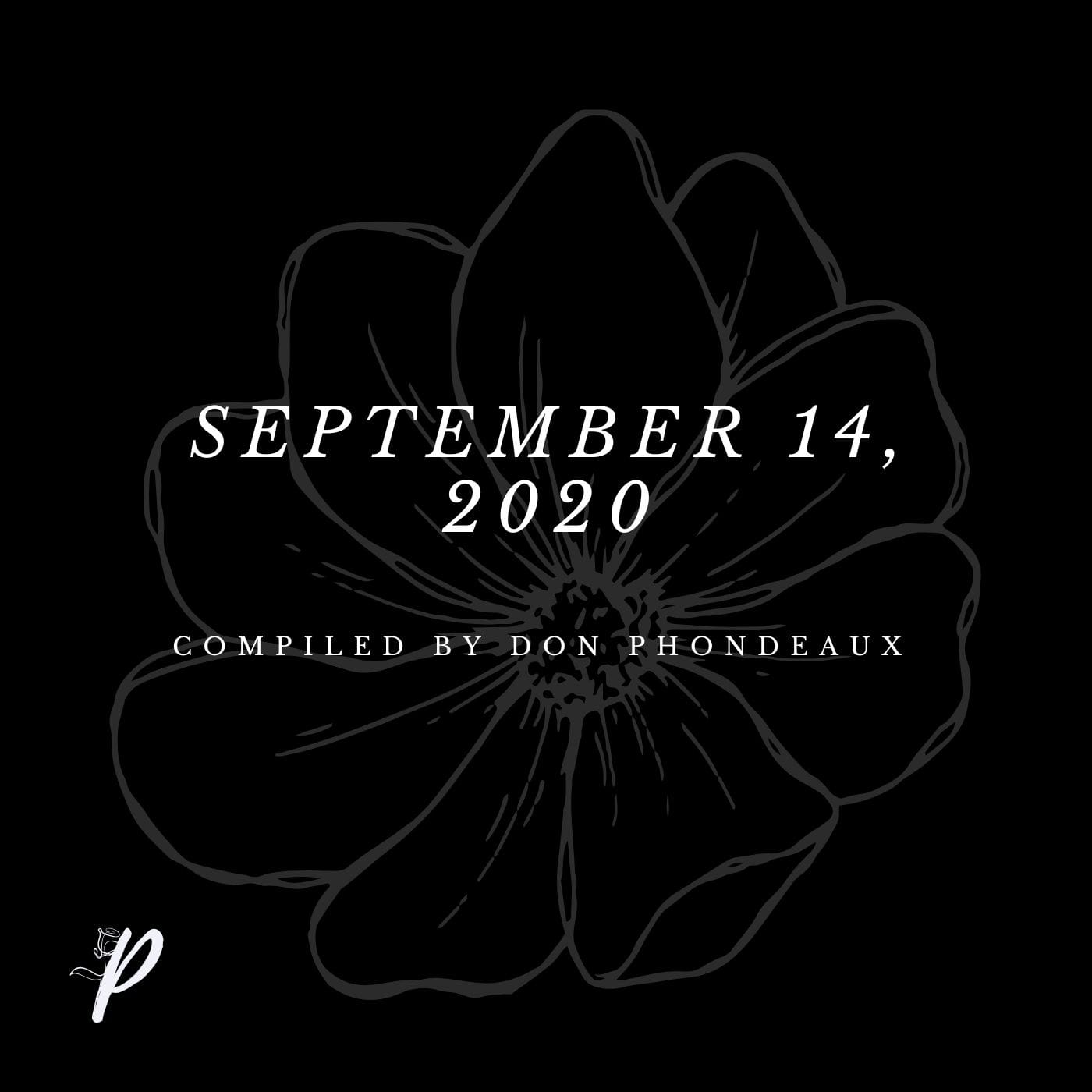 A Don's Ambition artwork